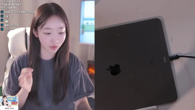 白鸽1004ysus 2025-07-07 11-12-36 003 缩略图