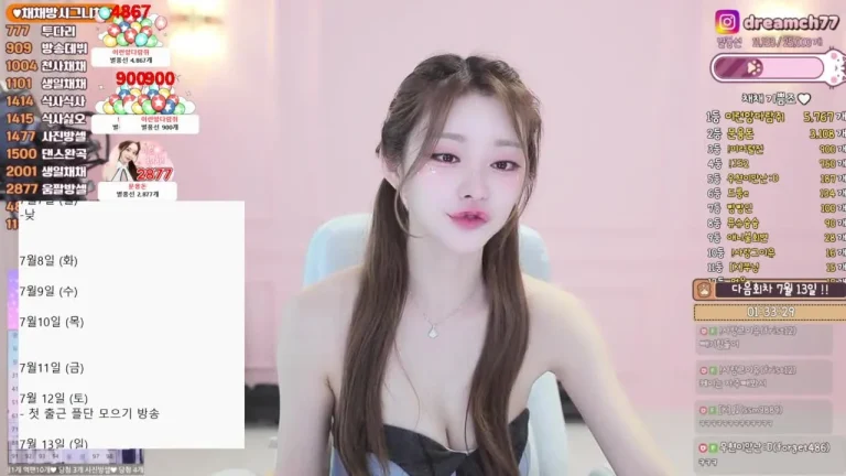 柴柴dreamch77 2025-07-05 12-04-05 001 缩略图