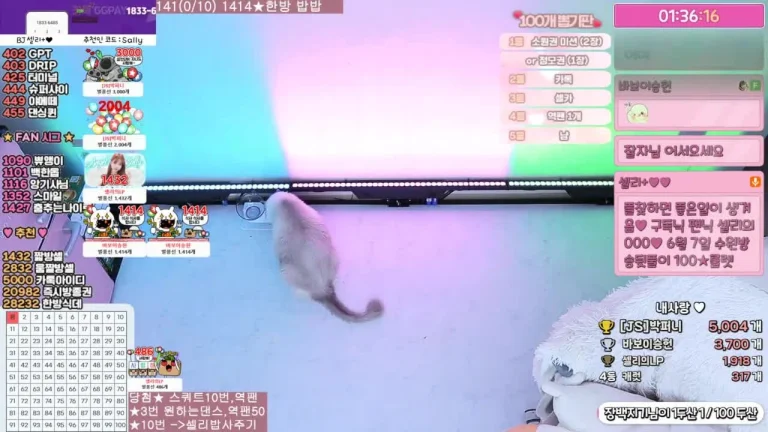 雪莉gksk4998 2025-06-01 17-17-58 001 缩略图