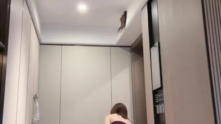 加百合一 2025-05-29 17-16-34 缩略图