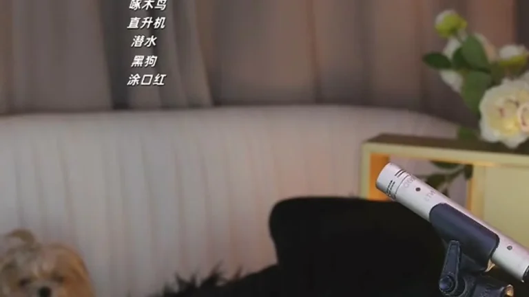 大艺术嘉carrie 2025-05-20 13-39-37 缩略图