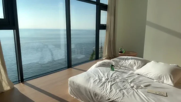 白鸽1004ysus 2025-07-21 06-02-34 000 缩略图