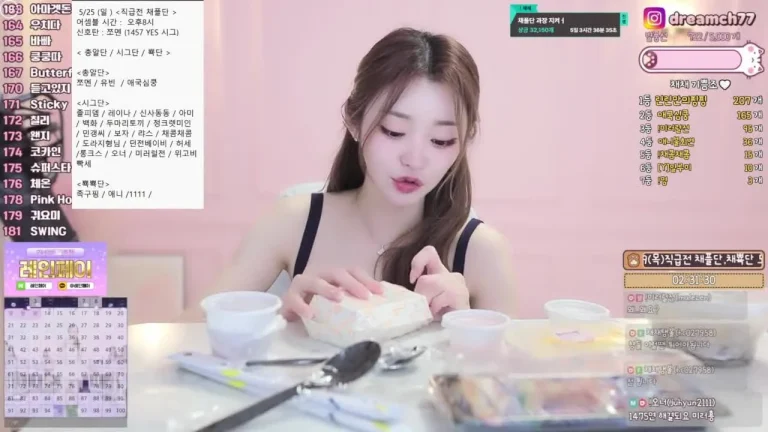 柴柴dreamch77 2025-05-24 18-08-58 002 缩略图