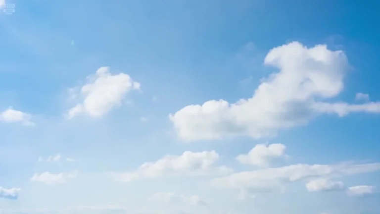 婉儿别闹 2025-05-27 12-14-43 000 缩略图