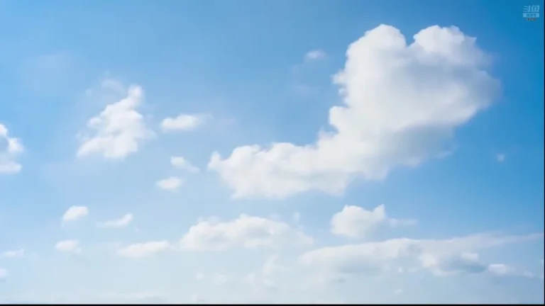 婉儿别闹 2025-06-01 11-57-37 000 缩略图