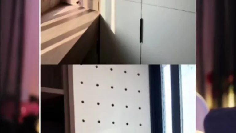 咬一口小蛋糕 2025-05-09 03-16-10 缩略图