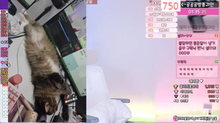 雪莉gksk4998 2025-07-03 20-37-46 001 缩略图