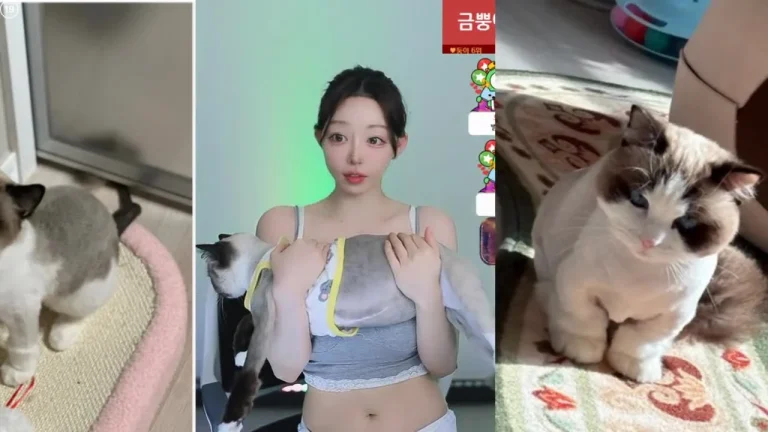 韩秀贤zkzk9885 2025-05-19 13-37-55 003 缩略图