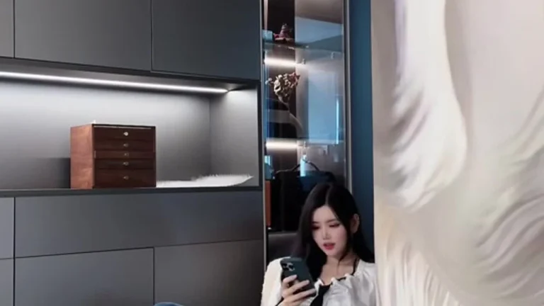舟茶茶 2025-06-10 09-03-30 缩略图