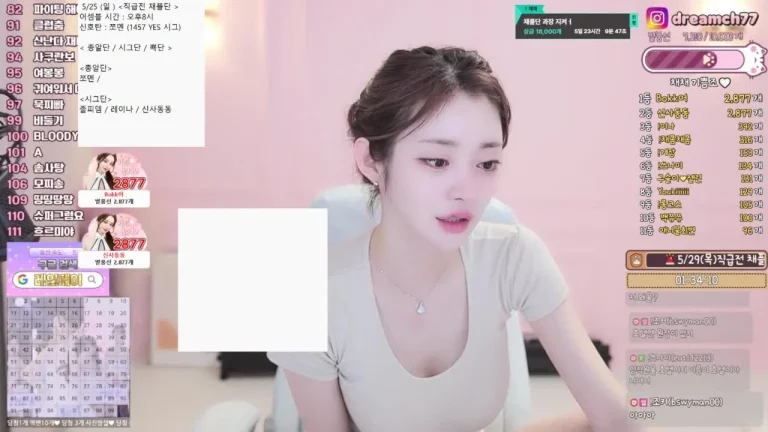 柴柴dreamch77 2025-05-23 23-35-31 001 缩略图