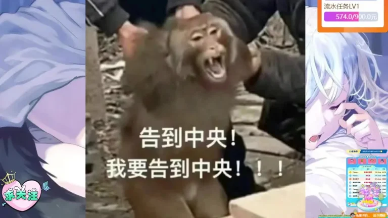 晓月月 2025-06-07 22-04-18 缩略图
