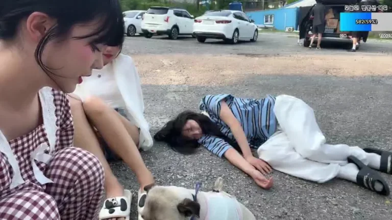 丹比sia0617 2025-05-30 16-14-19 000 缩略图