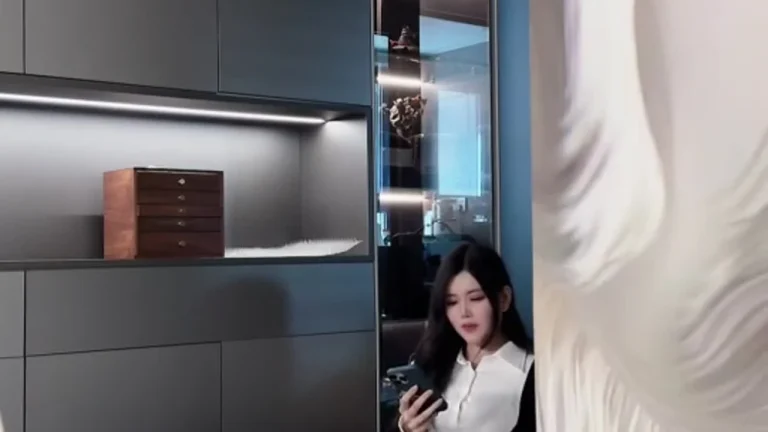 舟茶茶 2025-06-12 09-33-10 缩略图