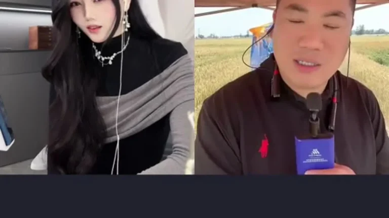 舟茶茶 2025-05-12 09-01-08 缩略图