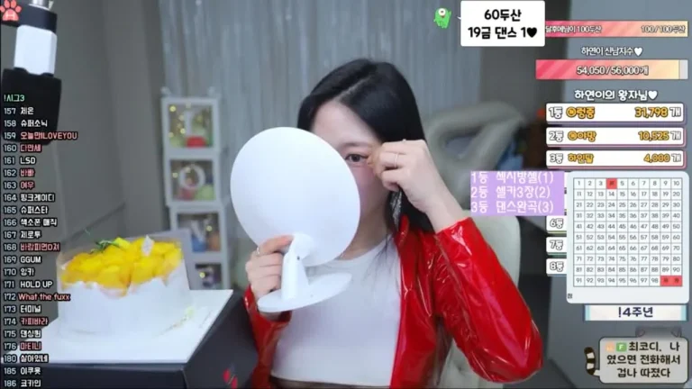 河妍英twinhayoung 2025-05-25 09-01-11 009 缩略图