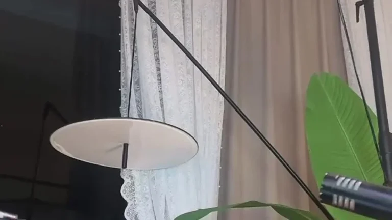 大艺术嘉carrie 2025-06-18 00-30-19 缩略图