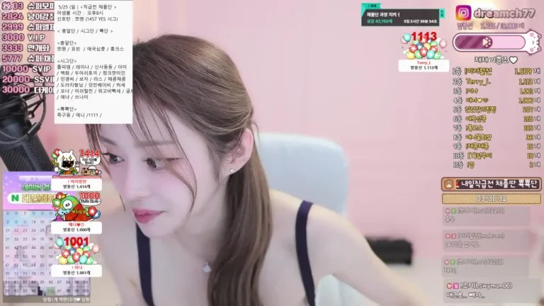 柴柴dreamch77 2025-05-24 18-08-58 003 缩略图