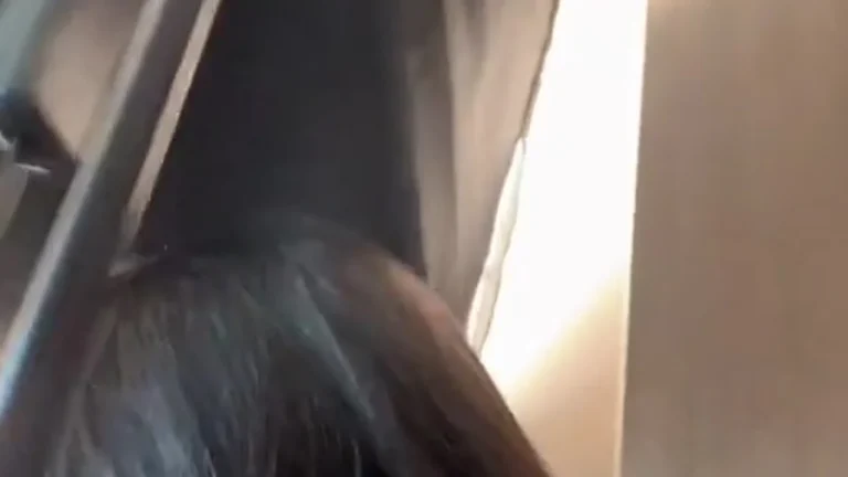 咬一口小蛋糕 2025-05-01 16-59-52 缩略图