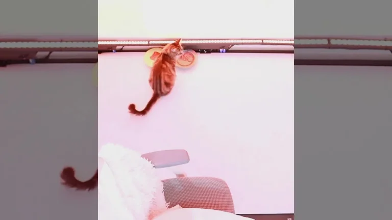 雪莉gksk4998 2025-05-22 13-37-24 004 缩略图