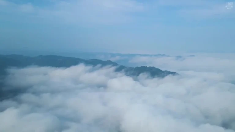 婉儿别闹 2025-06-24 12-36-24 000 缩略图