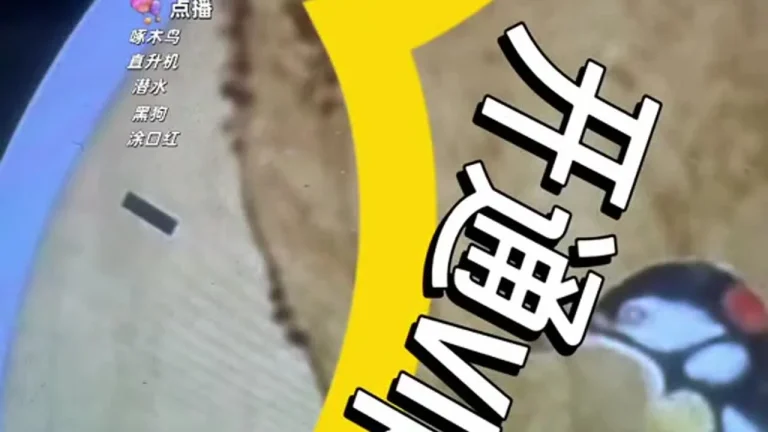 大艺术嘉carrie 2025-06-22 03-24-42 缩略图