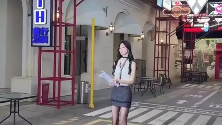 苑子不打野 2025-05-04 20-07-14 缩略图