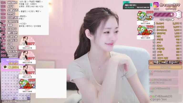 柴柴dreamch77 2025-05-23 23-35-31 002 缩略图