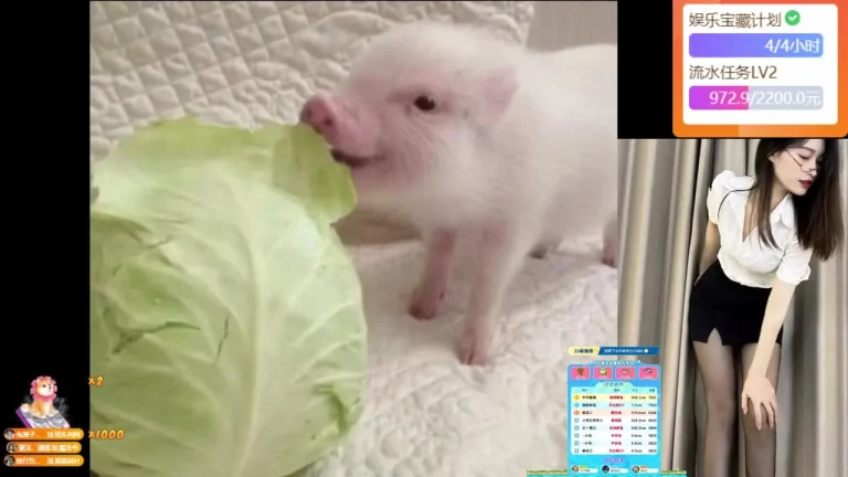 晓月月 2025-07-06 21-05-46 缩略图