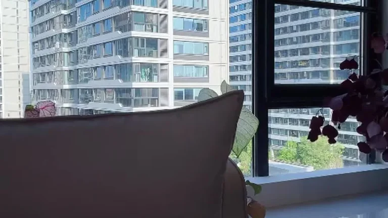 玻璃盖子 2025-07-05 14-23-50 缩略图