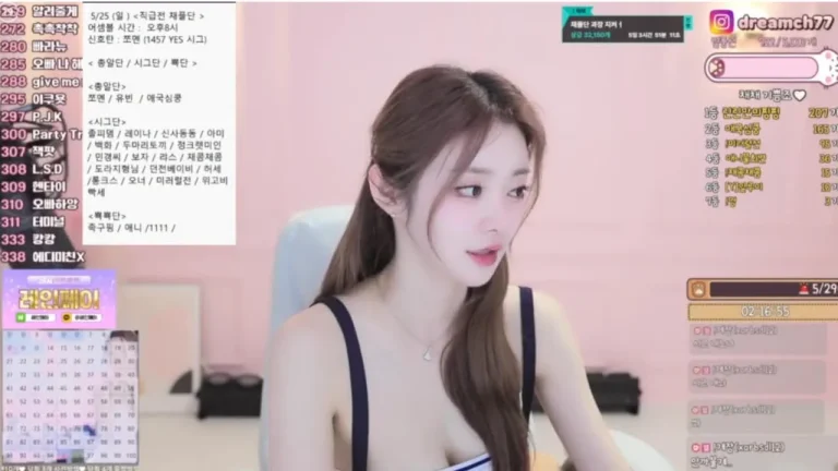 柴柴dreamch77 2025-07-02 13-18-34 007 缩略图
